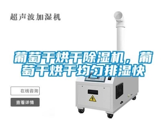 行業(yè)新聞葡萄干烘干除濕機(jī)，葡萄干烘干均勻排濕快