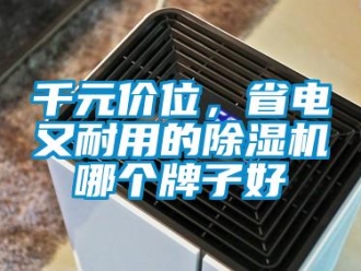 行業(yè)新聞千元價位，省電又耐用的除濕機哪個牌子好