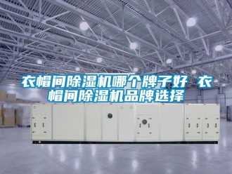 企業(yè)新聞衣帽間除濕機(jī)哪個牌子好 衣帽間除濕機(jī)品牌選擇