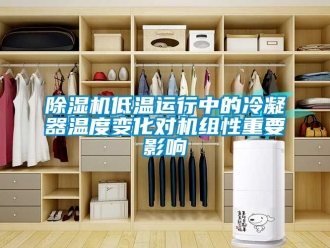 企業(yè)新聞除濕機(jī)低溫運(yùn)行中的冷凝器溫度變化對機(jī)組性重要影響