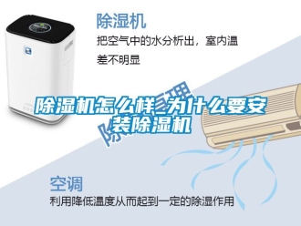 行業(yè)新聞除濕機怎么樣_為什么要安裝除濕機