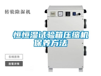 知識(shí)百科恒恒濕試驗(yàn)箱壓縮機(jī)保養(yǎng)方法