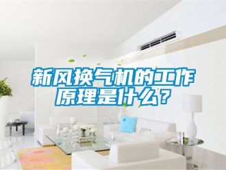 企業(yè)新聞新風(fēng)換氣機(jī)的工作原理是什么？