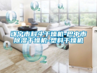 行業(yè)新聞遂寧市料斗干燥機-巴中市除濕干燥機-塑料干燥機