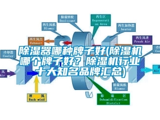 企業(yè)新聞除濕器哪種牌子好(除濕機哪個牌子好？除濕機行業(yè)十大知名品牌匯總)
