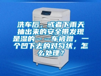 企業(yè)新聞洗車后，或者下雨天抽出來的安全帶發(fā)現(xiàn)是濕的……車被蹭，一個凹下去的對勾狀，怎么處理？