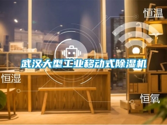 常見問題武漢大型工業(yè)移動式除濕機(jī)