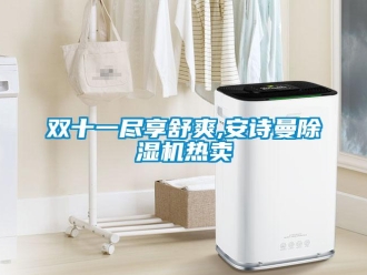 企業(yè)新聞雙十一盡享舒爽,安詩(shī)曼除濕機(jī)熱賣