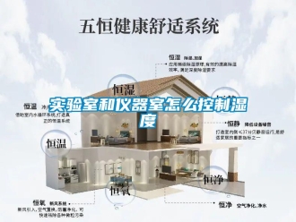 常見問題實(shí)驗(yàn)室和儀器室怎么控制濕度