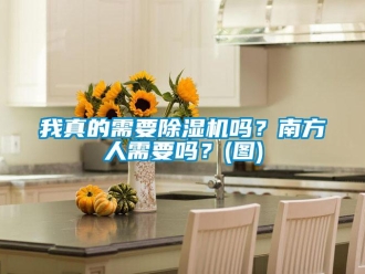 行業(yè)新聞我真的需要除濕機(jī)嗎？南方人需要嗎？(圖)