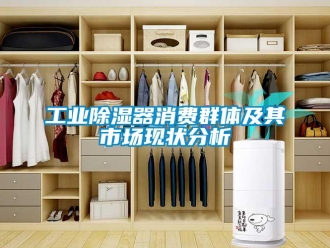 行業(yè)新聞工業(yè)除濕器消費群體及其市場現(xiàn)狀分析