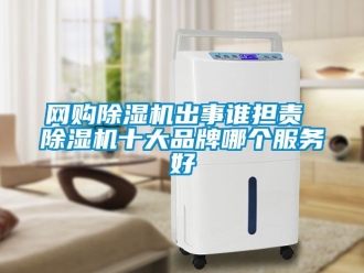企業(yè)新聞網購除濕機出事誰擔責 除濕機十大品牌哪個服務好