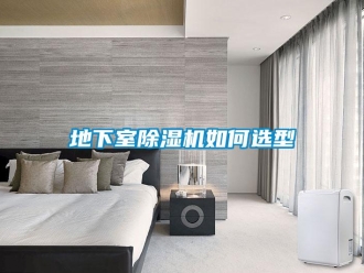 常見問題地下室除濕機(jī)如何選型