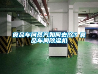 企業(yè)新聞食品車間蒸汽如何去除？食品車間除濕機
