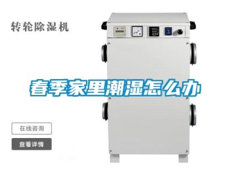 常見問題春季家里潮濕怎么辦