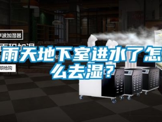 常見問題雨天地下室進(jìn)水了怎么去濕？