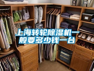 常見問題上海轉(zhuǎn)輪除濕機(jī)一般要多少錢一臺(tái)