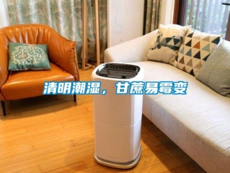 行業(yè)新聞清明潮濕，甘蔗易霉變