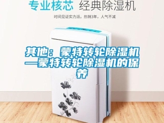 常見問題其他：蒙特轉(zhuǎn)輪除濕機(jī)—蒙特轉(zhuǎn)輪除濕機(jī)的保養(yǎng)