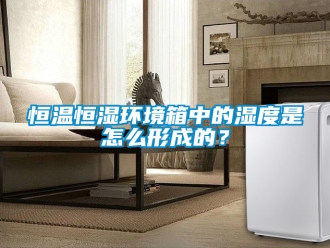 知識(shí)百科恒溫恒濕環(huán)境箱中的濕度是怎么形成的？