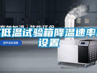常見問(wèn)題高低溫試驗(yàn)箱降溫速率的設(shè)置