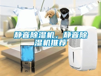 行業(yè)新聞靜音除濕機，靜音除濕機推薦