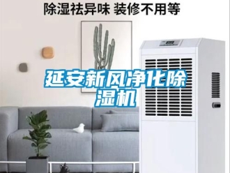 常見問題延安新風(fēng)凈化除濕機(jī)