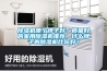 除濕機(jī)哪個牌子好？質(zhì)量好的家用除濕機(jī)推薦，什么牌子的除濕機(jī)比較好？