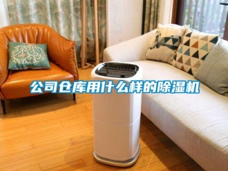 企業(yè)新聞公司倉庫用什么樣的除濕機(jī)