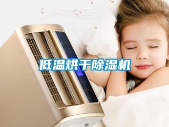 企業(yè)新聞低溫烘干除濕機