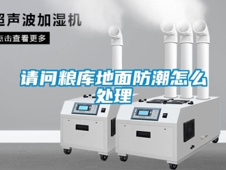 常見問題請問糧庫地面防潮怎么處理