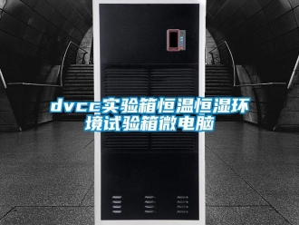 常見問題dvcc實(shí)驗(yàn)箱恒溫恒濕環(huán)境試驗(yàn)箱微電腦