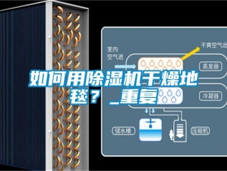 行業(yè)新聞如何用除濕機(jī)干燥地毯？_重復(fù)