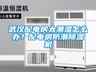 行業(yè)新聞武漢配電房太潮濕怎么辦？配電房防潮除濕機