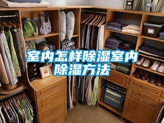 企業(yè)新聞室內(nèi)怎樣除濕室內(nèi)除濕方法