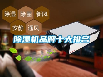 常見問題除濕機(jī)品牌十大排名