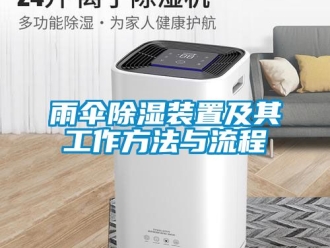 行業(yè)新聞雨傘除濕裝置及其工作方法與流程