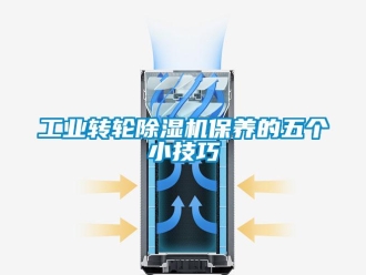 企業(yè)新聞工業(yè)轉(zhuǎn)輪除濕機(jī)保養(yǎng)的五個小技巧