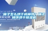 柿子怎么烘干成柿餅？柿子柿餅烘干除濕機