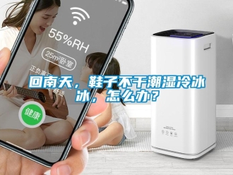 常見問題回南天，鞋子不干潮濕冷冰冰，怎么辦？