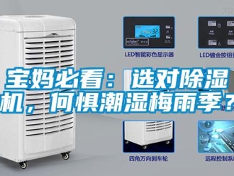 常見問題寶媽必看：選對除濕機(jī)，何懼潮濕梅雨季？