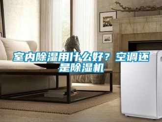 行業(yè)新聞室內除濕用什么好？空調還是除濕機