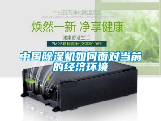 常見問題中國除濕機如何面對當前的經(jīng)濟環(huán)境