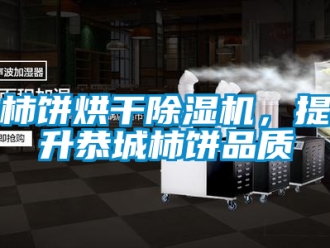 行業(yè)新聞柿餅烘干除濕機(jī)，提升恭城柿餅品質(zhì)