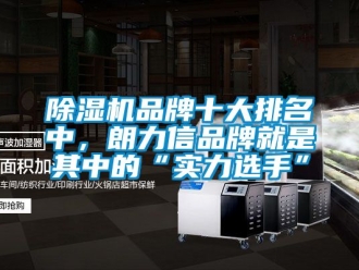 企業(yè)新聞除濕機品牌十大排名中，朗力信品牌就是其中的“實力選手”