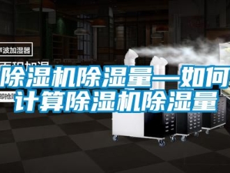 企業(yè)新聞除濕機(jī)除濕量—如何計(jì)算除濕機(jī)除濕量