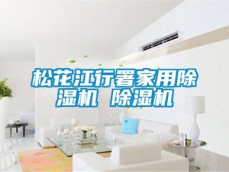 常見問題松花江行署家用除濕機(jī) 除濕機(jī)