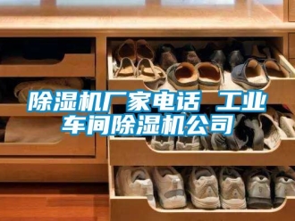企業(yè)新聞除濕機(jī)廠家電話 工業(yè)車間除濕機(jī)公司