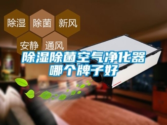 企業(yè)新聞除濕除菌空氣凈化器哪個(gè)牌子好