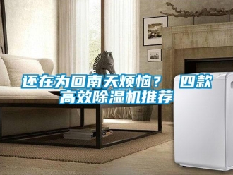 行業(yè)新聞還在為回南天煩惱？ 四款高效除濕機(jī)推薦